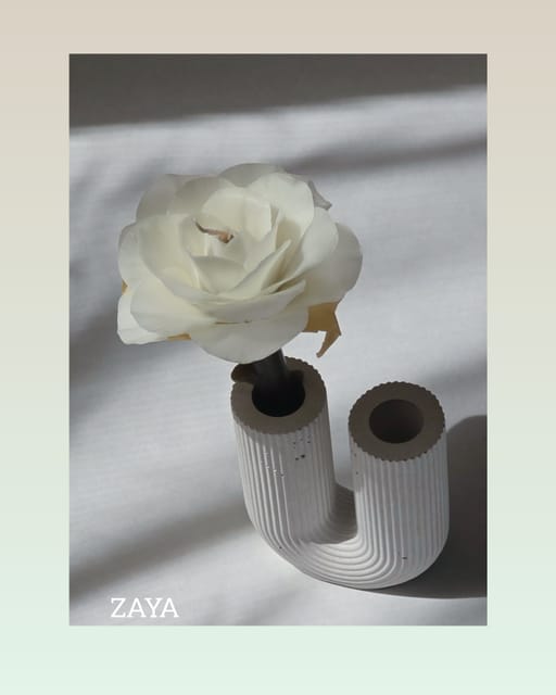 White Stem Rose in Pot