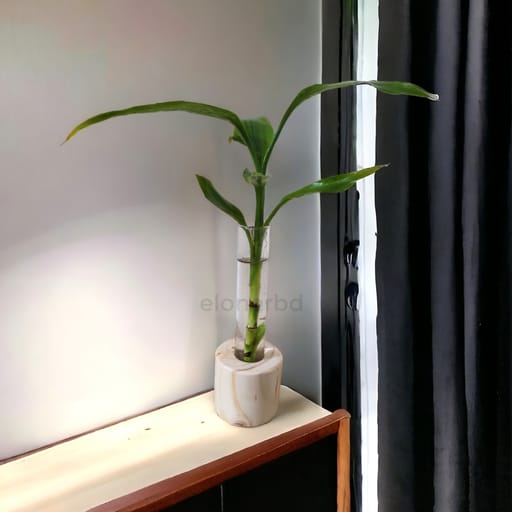 Wooden Plant Holder