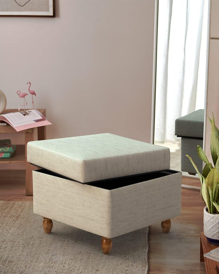 Modern Trunk Storage Ottoman - Image 1