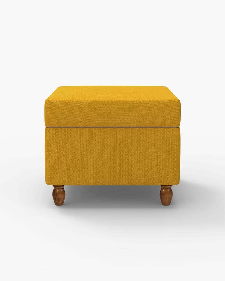 Modern Trunk Storage Ottoman - Image 2