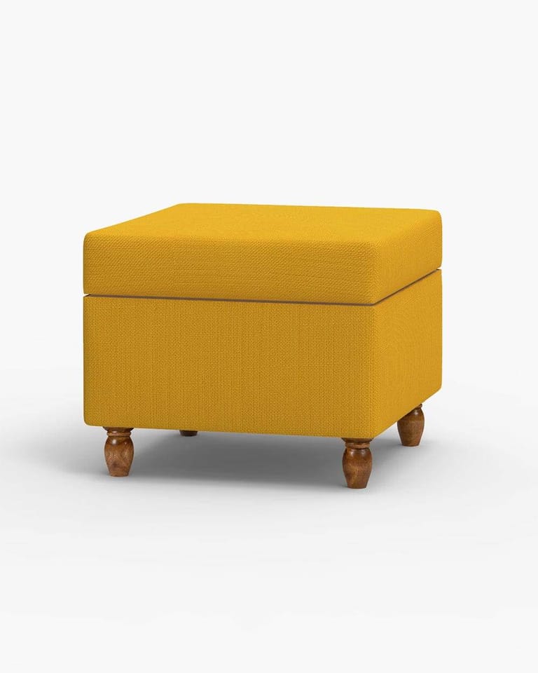 Modern Trunk Storage Ottoman - Image 3