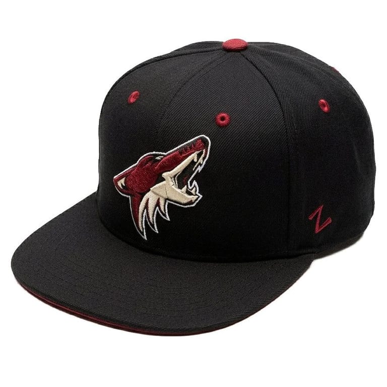 Oversized Fox AZ - Image 6