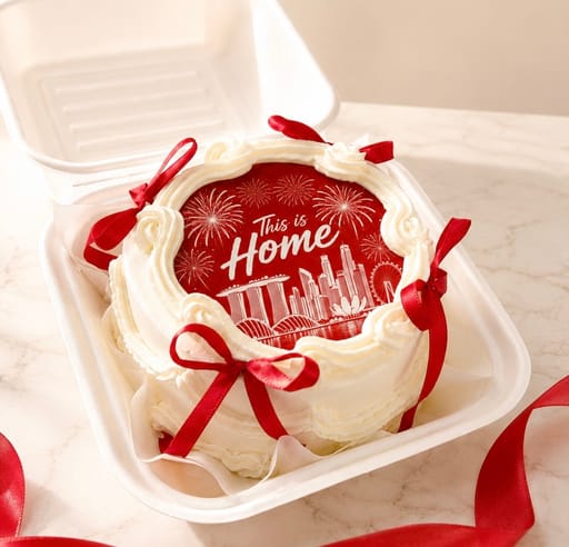 SG61 This is Home Bento Cake – SG National Day
