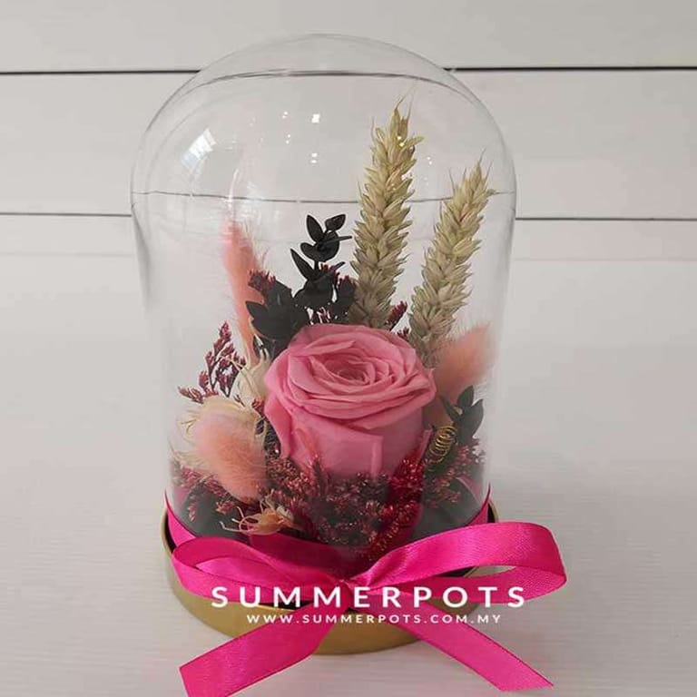 Preserved Flowers 51