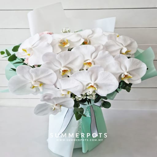 Phalaenopsis Bouquet 623