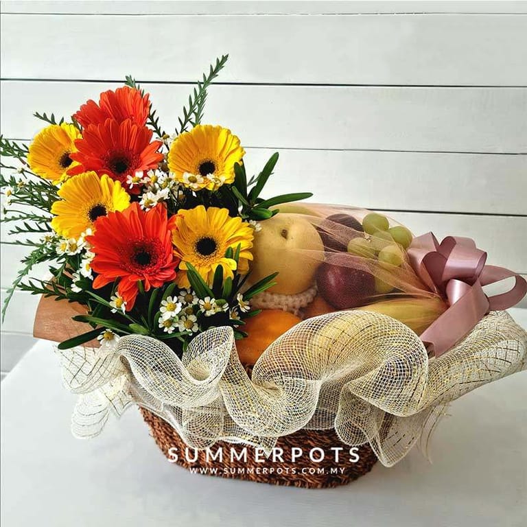 Fruits 155 - Image 1