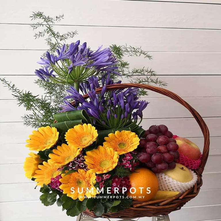 Fruits 092 - Image 1