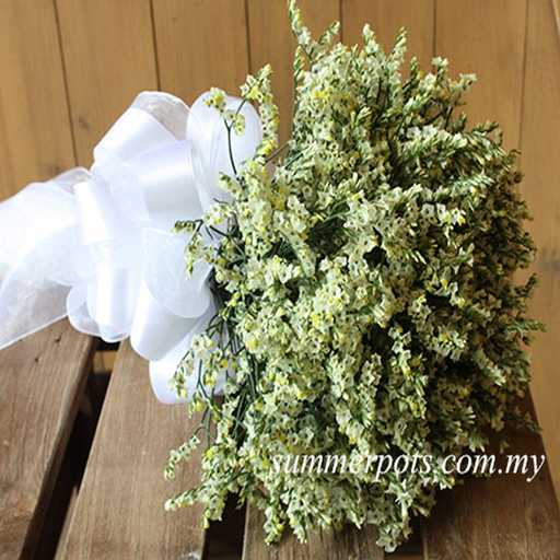Bridal 162