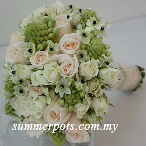 Bridal 149