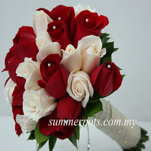 Bridal 138