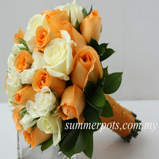 Bridal 135