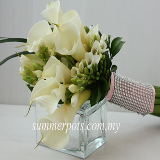 Bridal 134