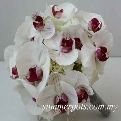Bridal 133