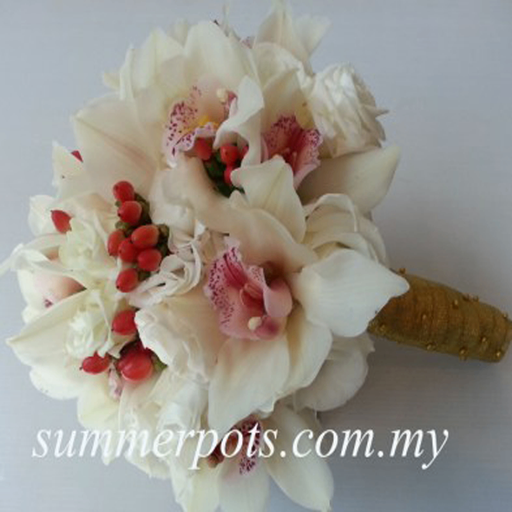 Bridal 129