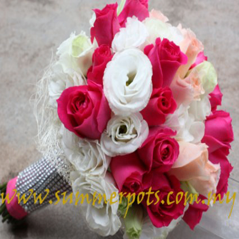 Bridal 126 - Image 1
