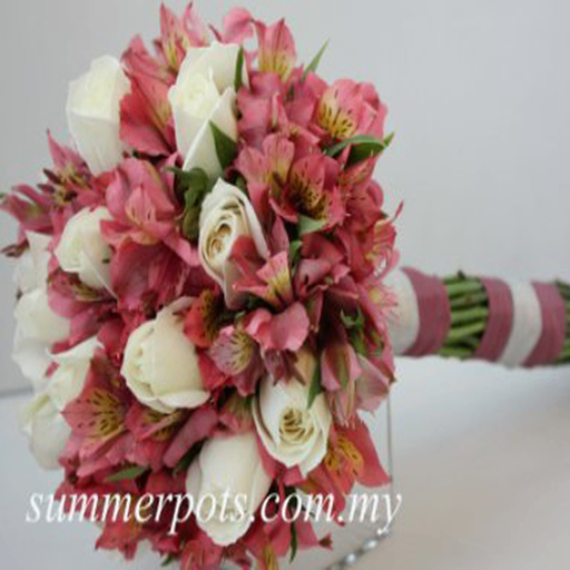 Bridal 124
