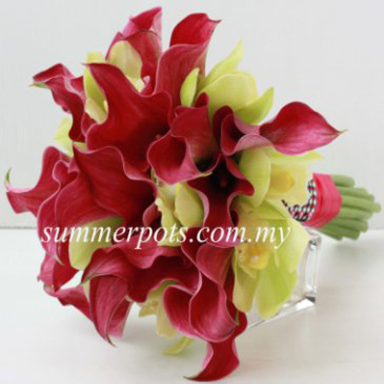 Bridal 122 - Image 1