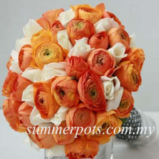 Bridal 117