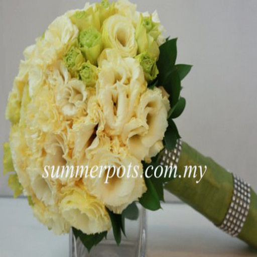 Bridal 112