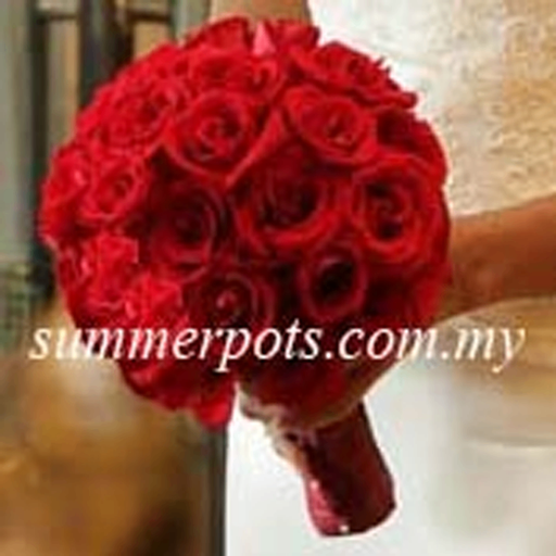 Bridal 036