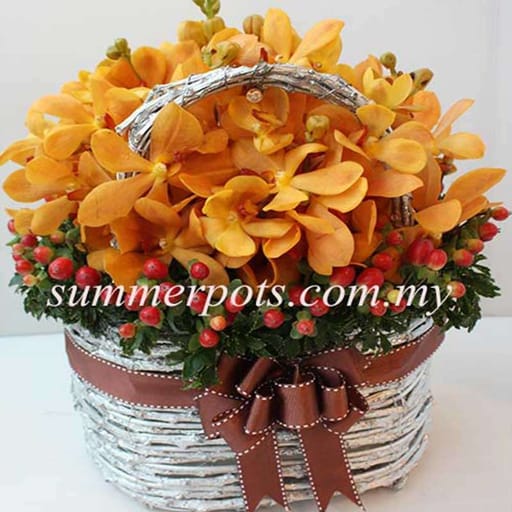 Basket 089
