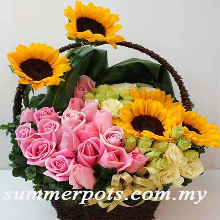 Basket 073