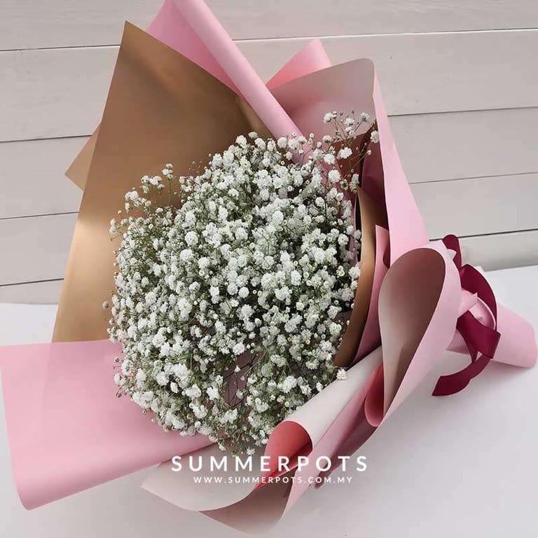 Baby Breath 450