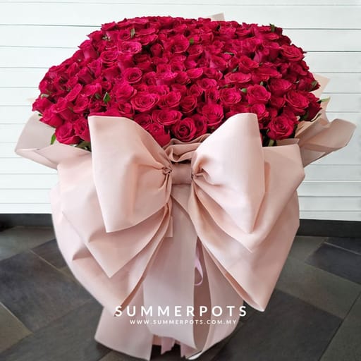 199 Roses Bouquet 528