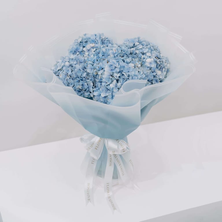 Hydrangea Ocean Serenade - FA28582