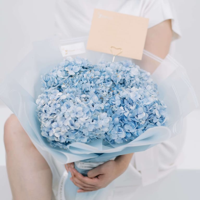 Hydrangea Ocean Serenade - FA28582 - Image 2