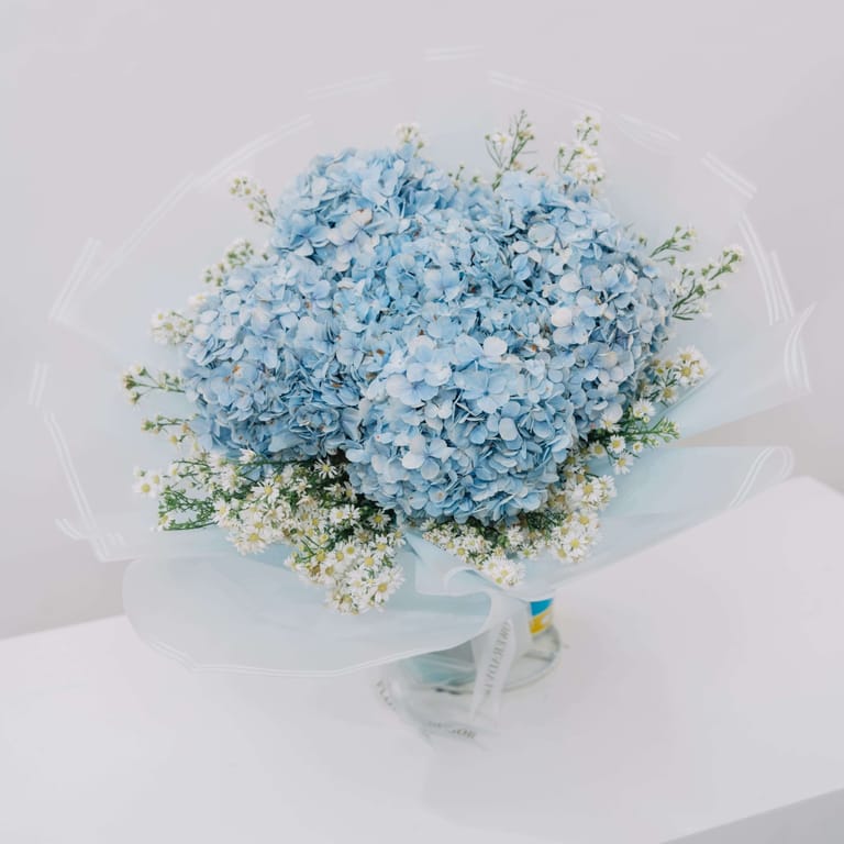 Hydrangea Azure Bloom - FA28583