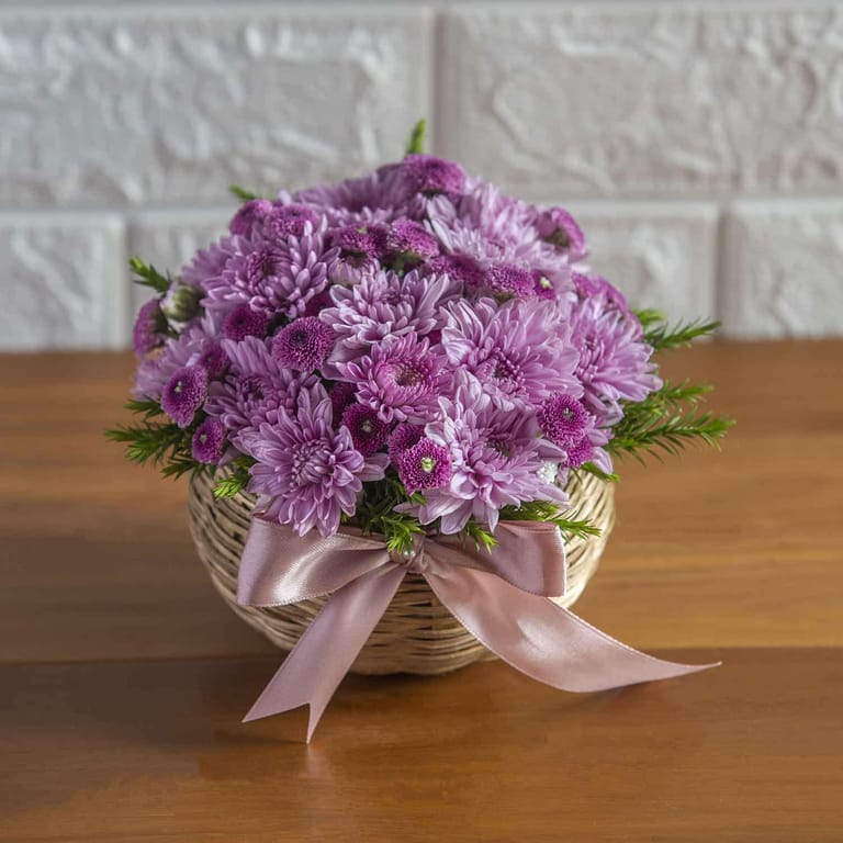 Blush Of Chrysanthemum - Image 1