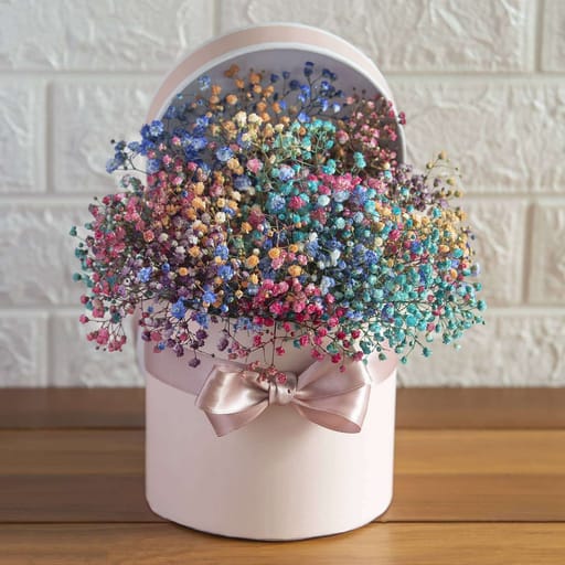 Colourful Baby Breath In A Round Box