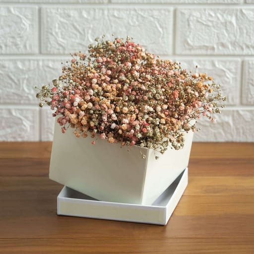 Whimsical Baby Breaths In A Box