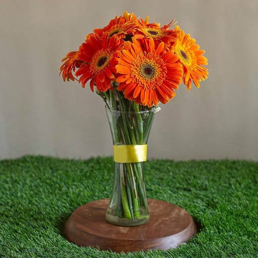 Vase Of Orange Gerberas