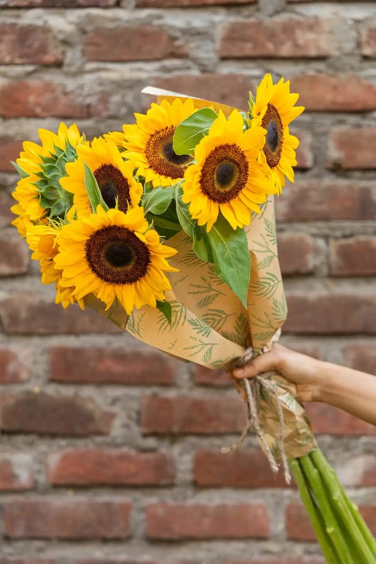 Sunflowers - Image 2