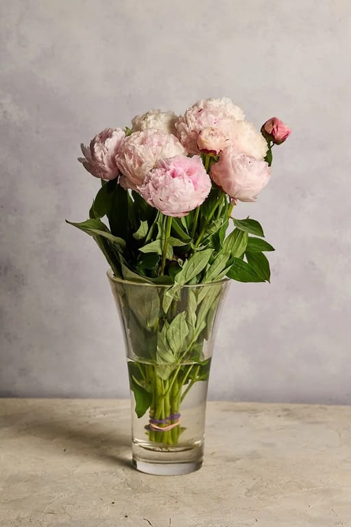 Peonies