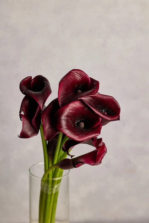 Calla Lillies