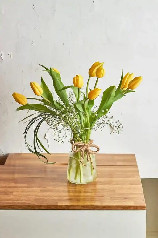 Tulip Delight