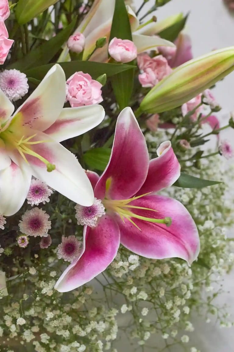 Lily Garden - Image 2
