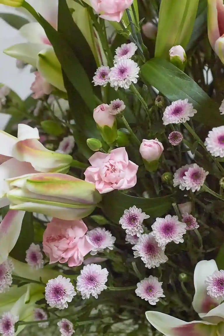 Lily Garden - Image 4