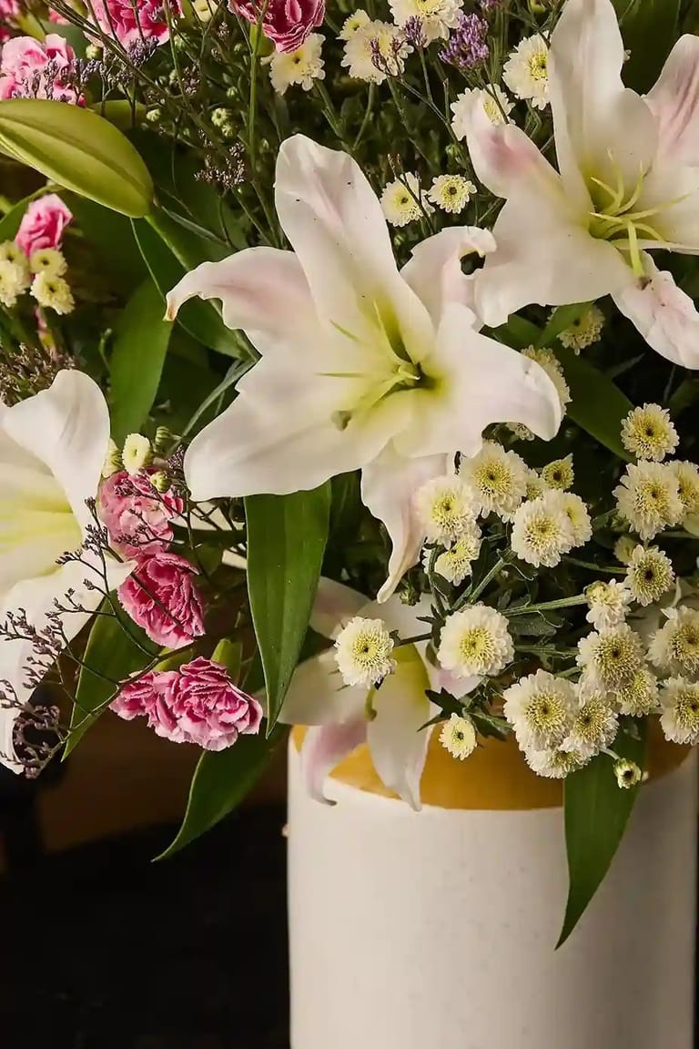 Lily bloom - Image 2