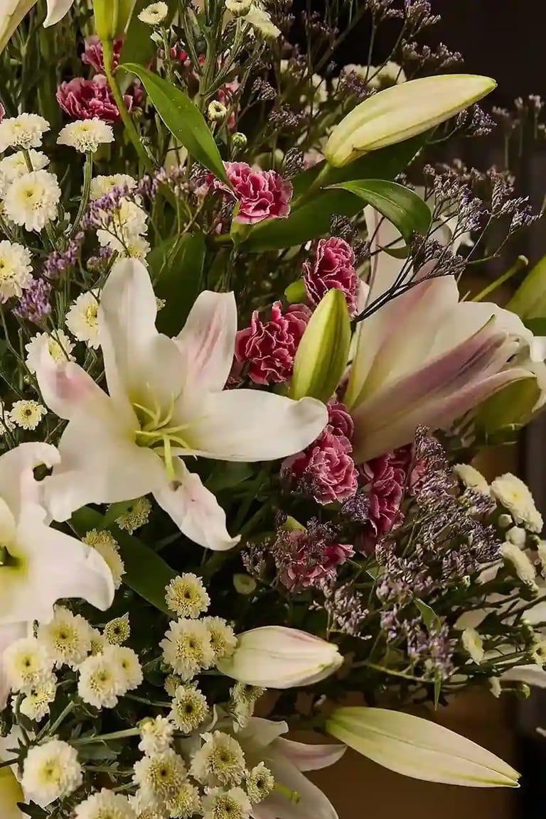 Lily bloom - Image 3
