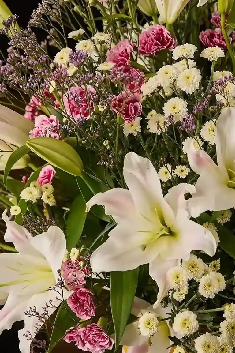 Lily bloom - Image 4