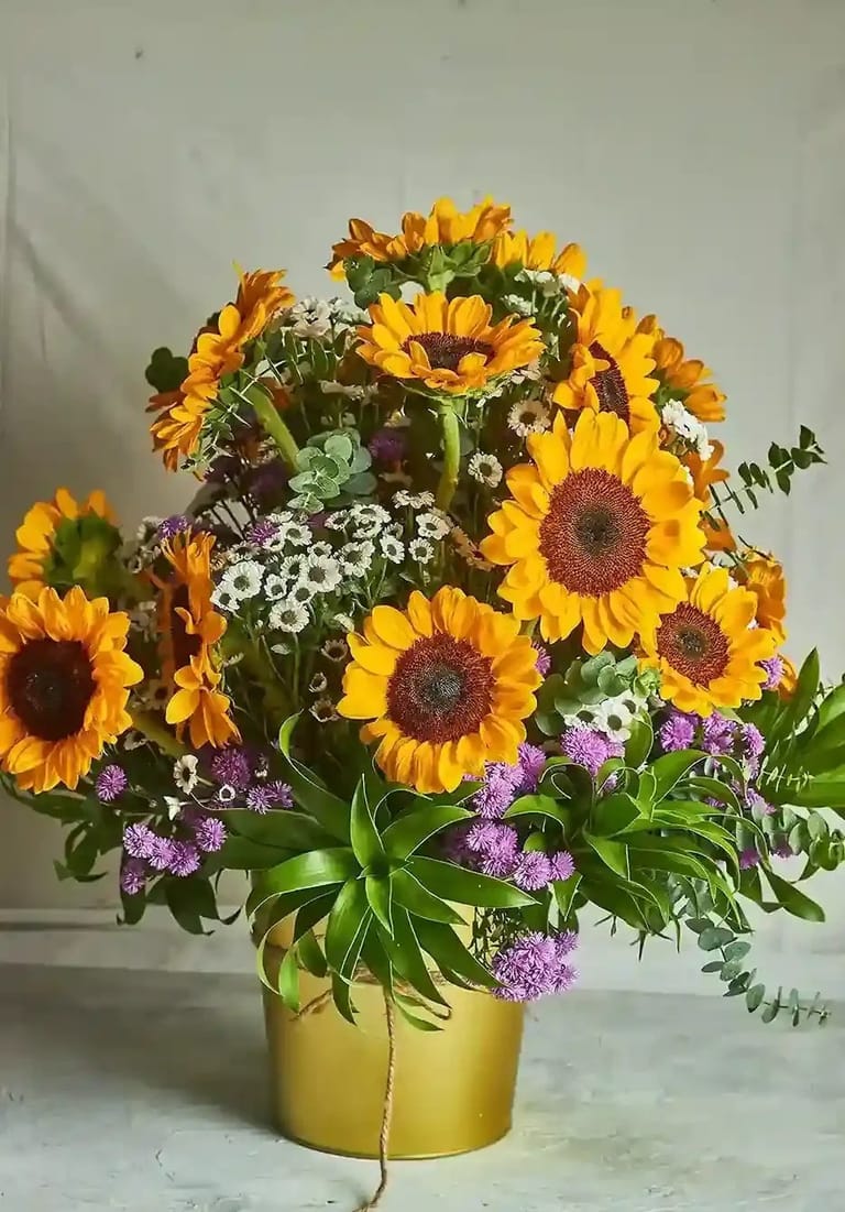 Sunflower fields - Image 1