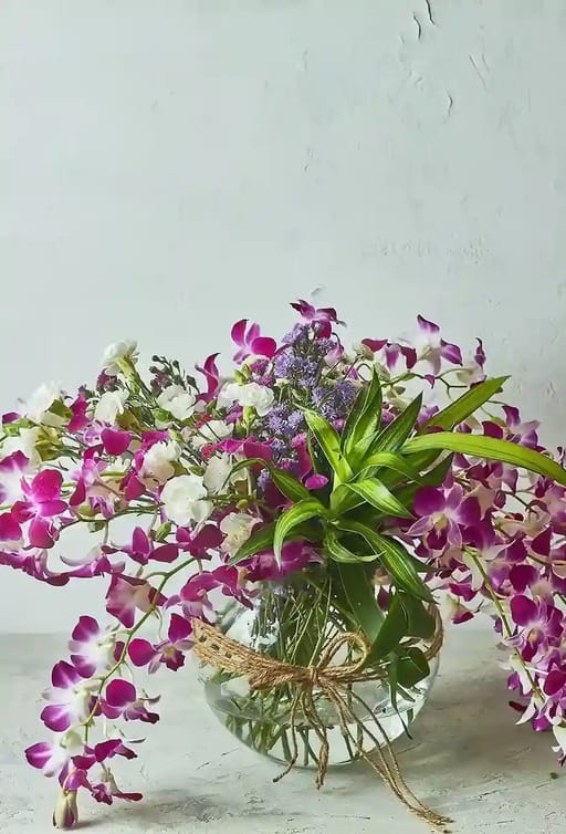 Orchids Galore