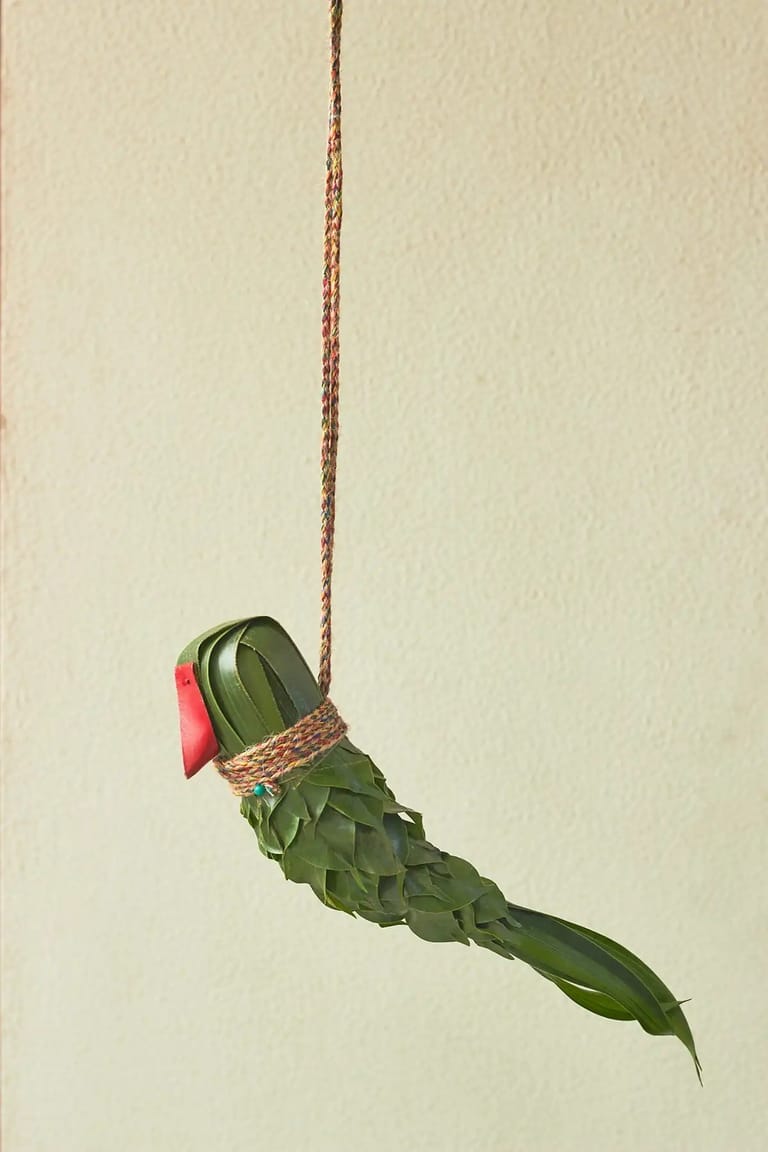Pyaara Tota - Image 1