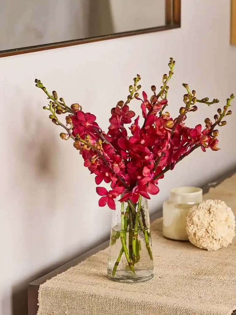 Mokara Orchids - Image 1