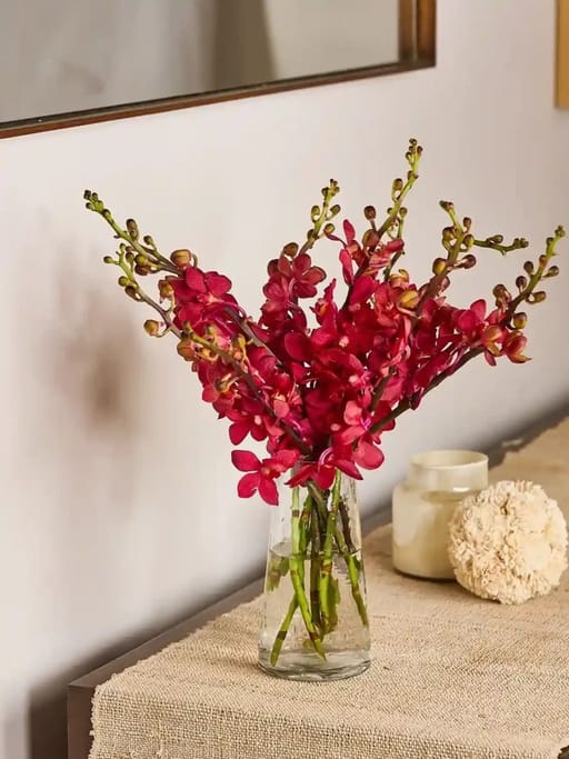 Mokara Orchids