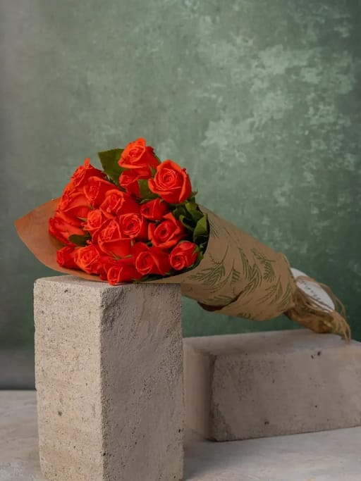 Orange Roses